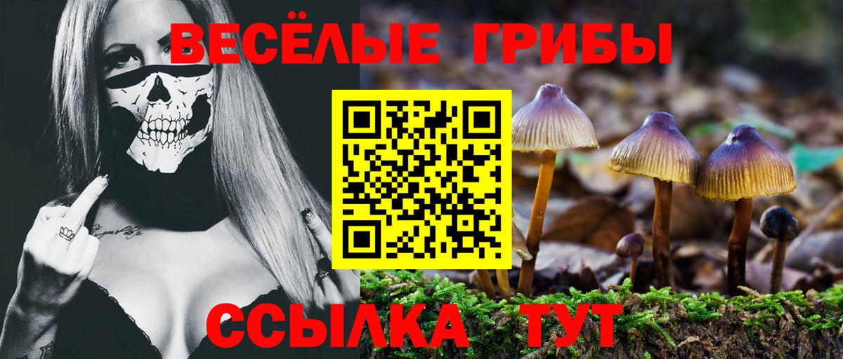 Галлюциногенные грибы мицелий Богданович