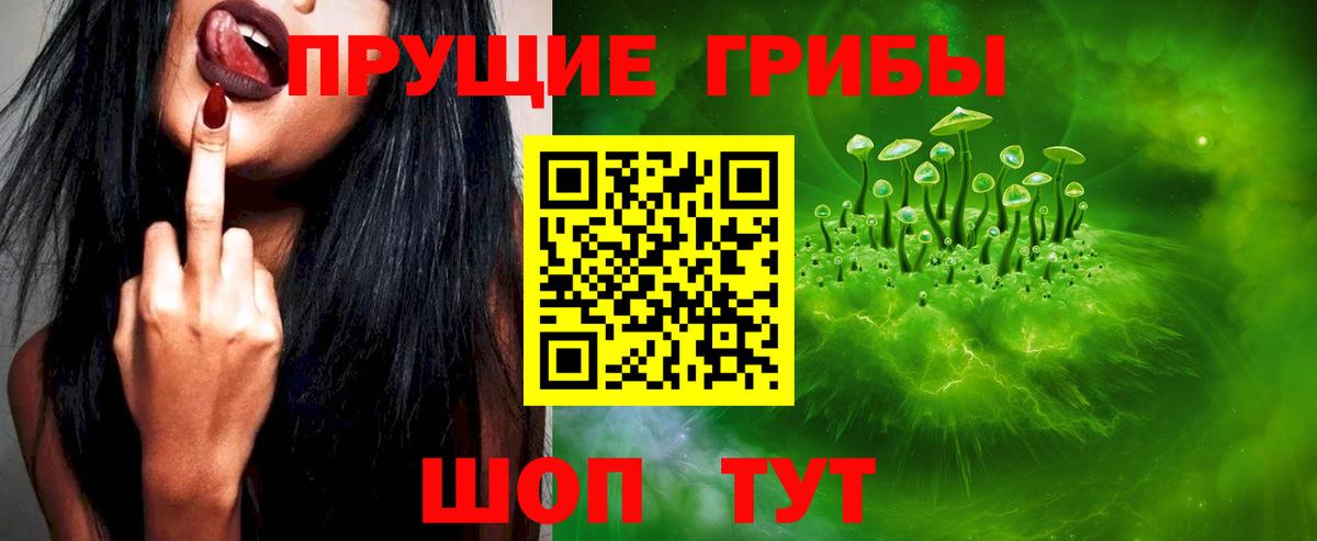 Богданович  Псилоцибиновые грибы MAGIC MUSHROOMS  Вход с VPN 